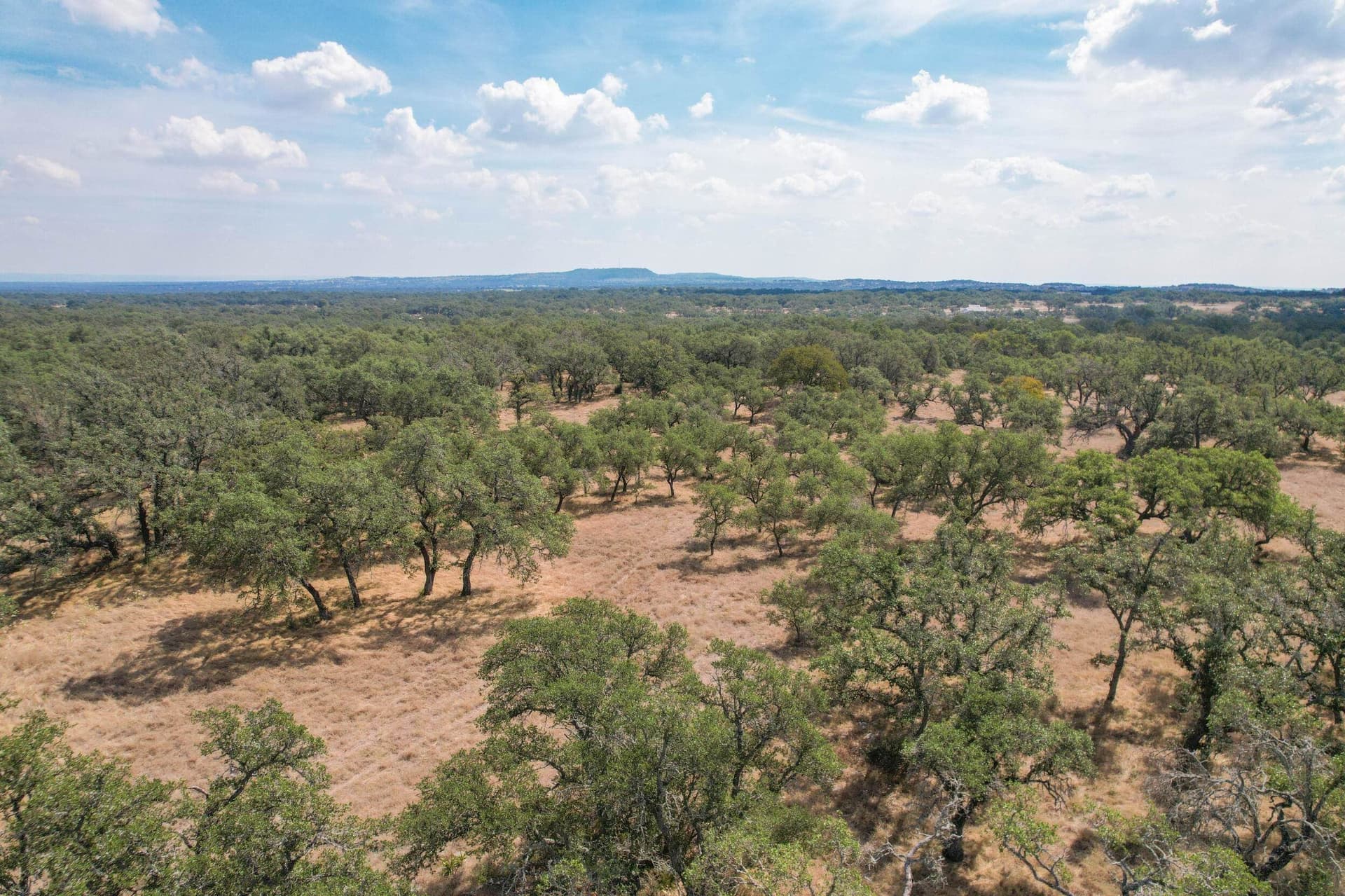 3 acres in Blanco County - photo 4