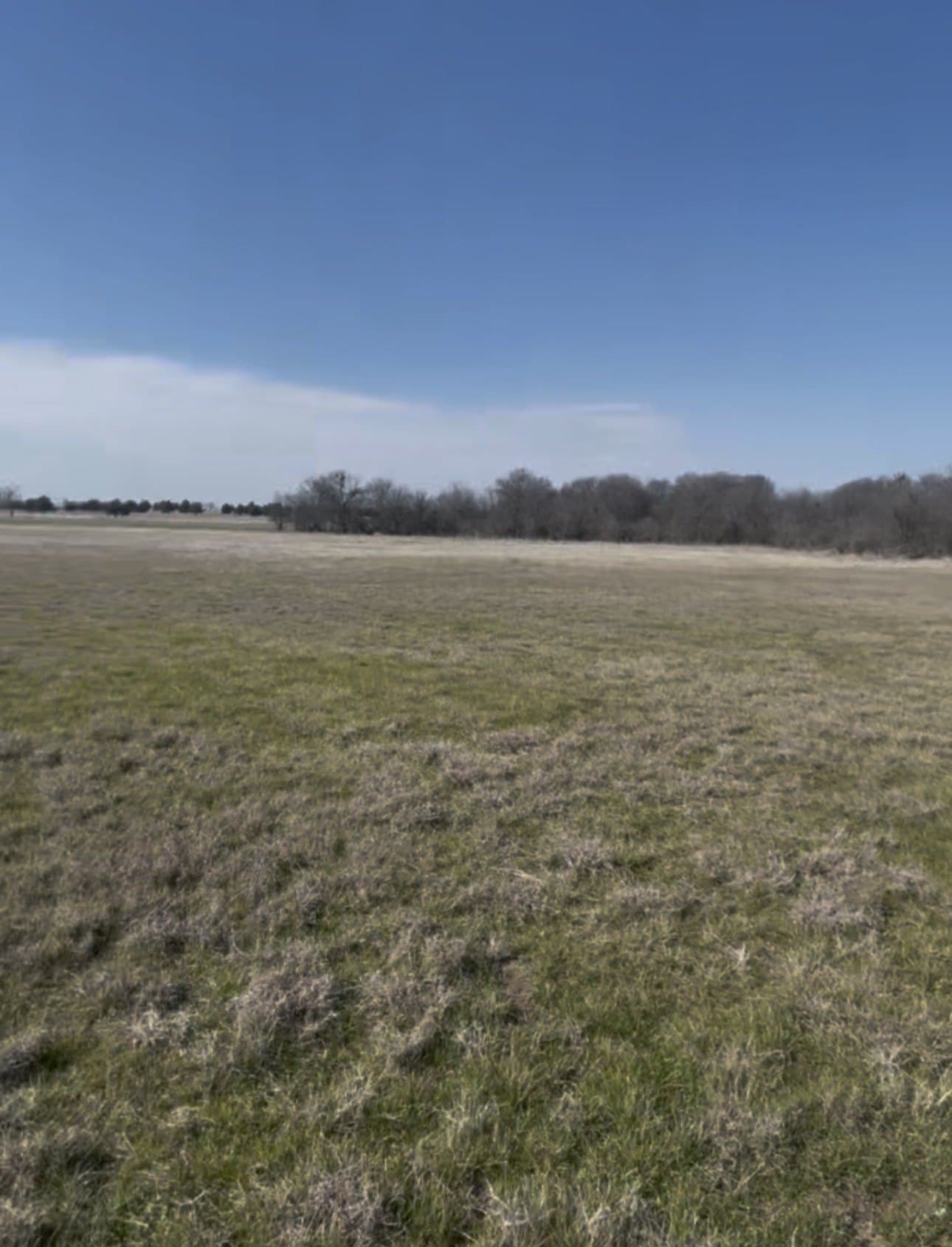 11.1 acres in Hill County gallery image 3