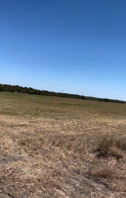 11.1 acres in Hill County gallery image 2