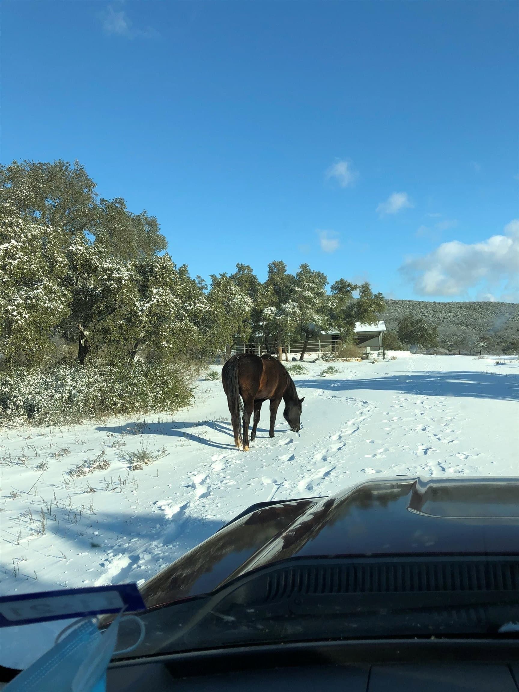 38.62 acres in Llano County - photo 13