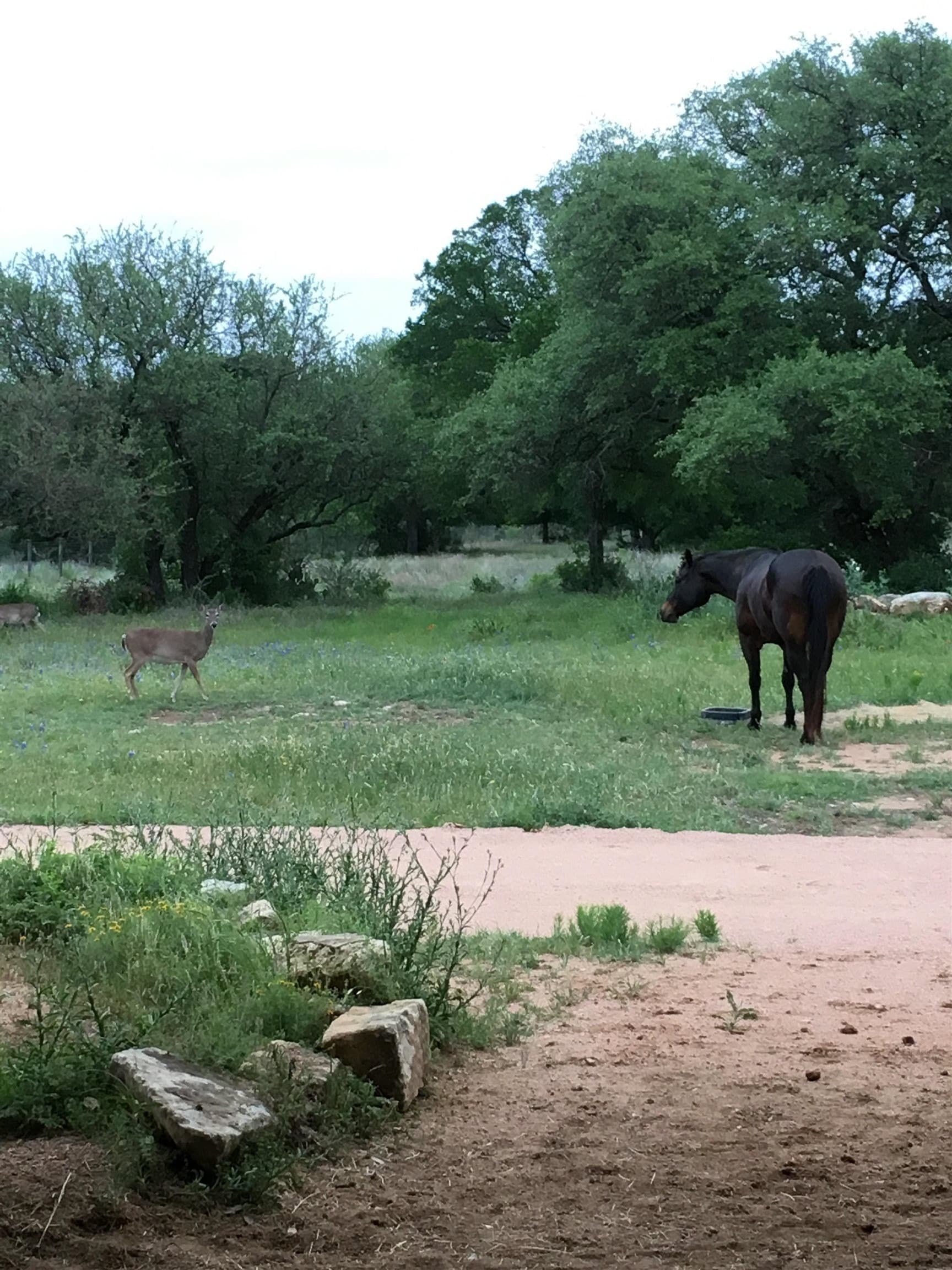 38.62 acres in Llano County - photo 12