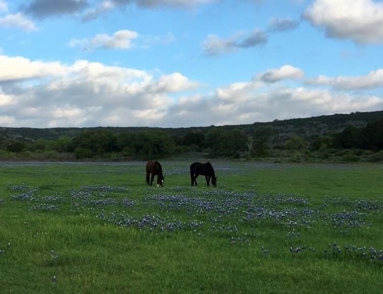 38.62 acres in Llano County featured view
