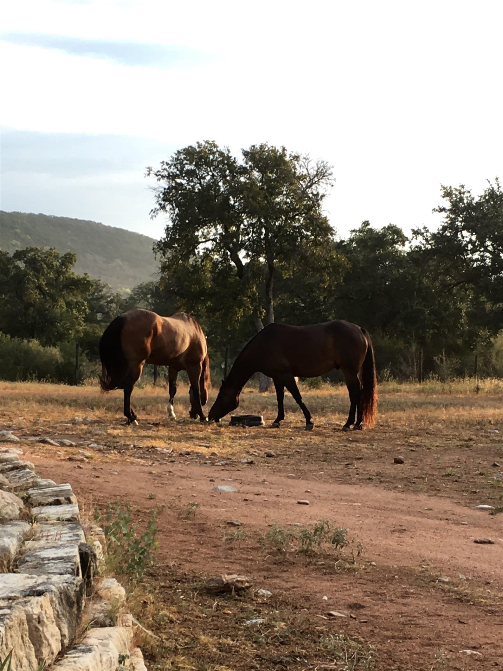 38.62 acres in Llano County - photo 10