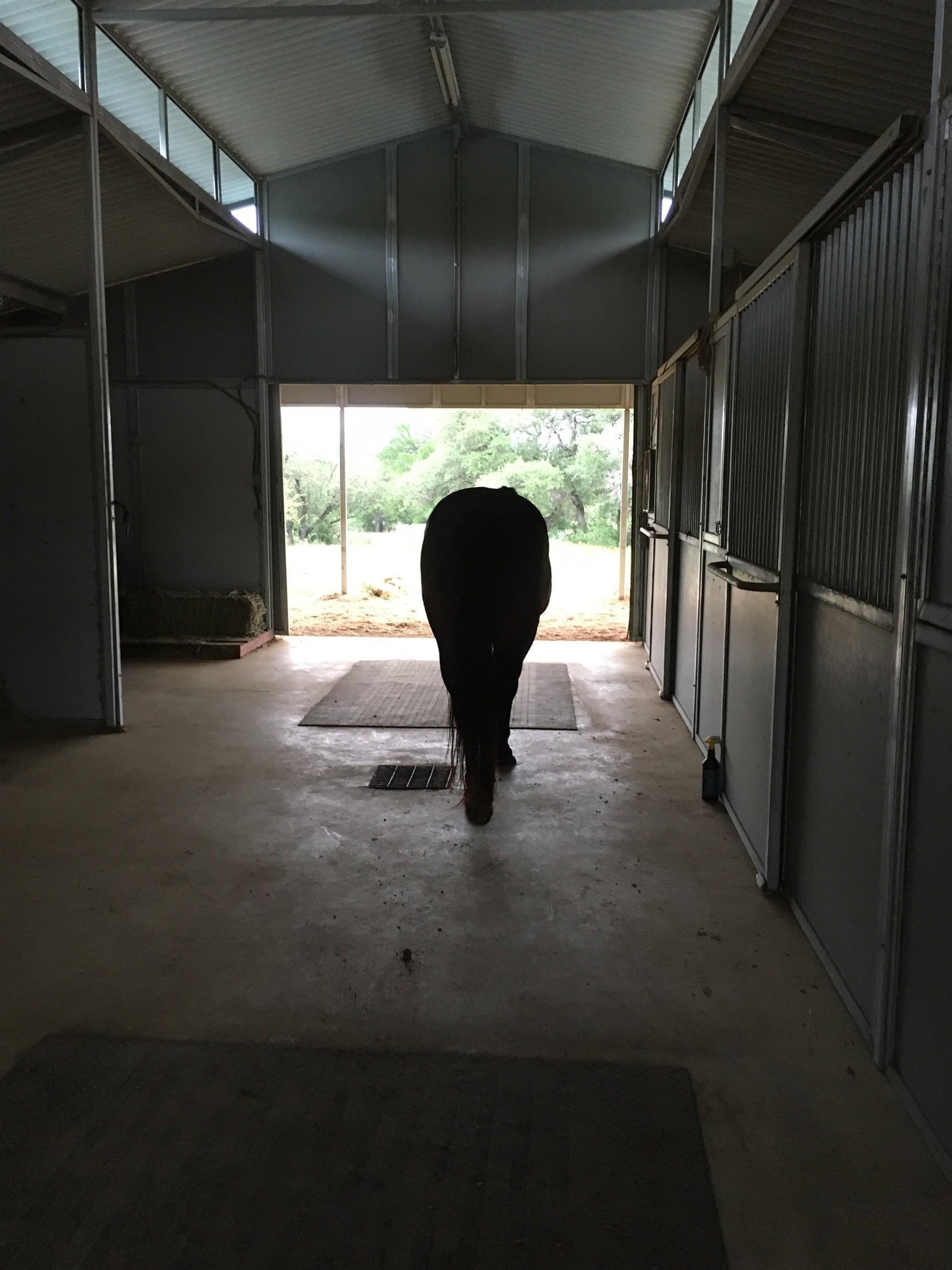 38.62 acres in Llano County gallery image 4