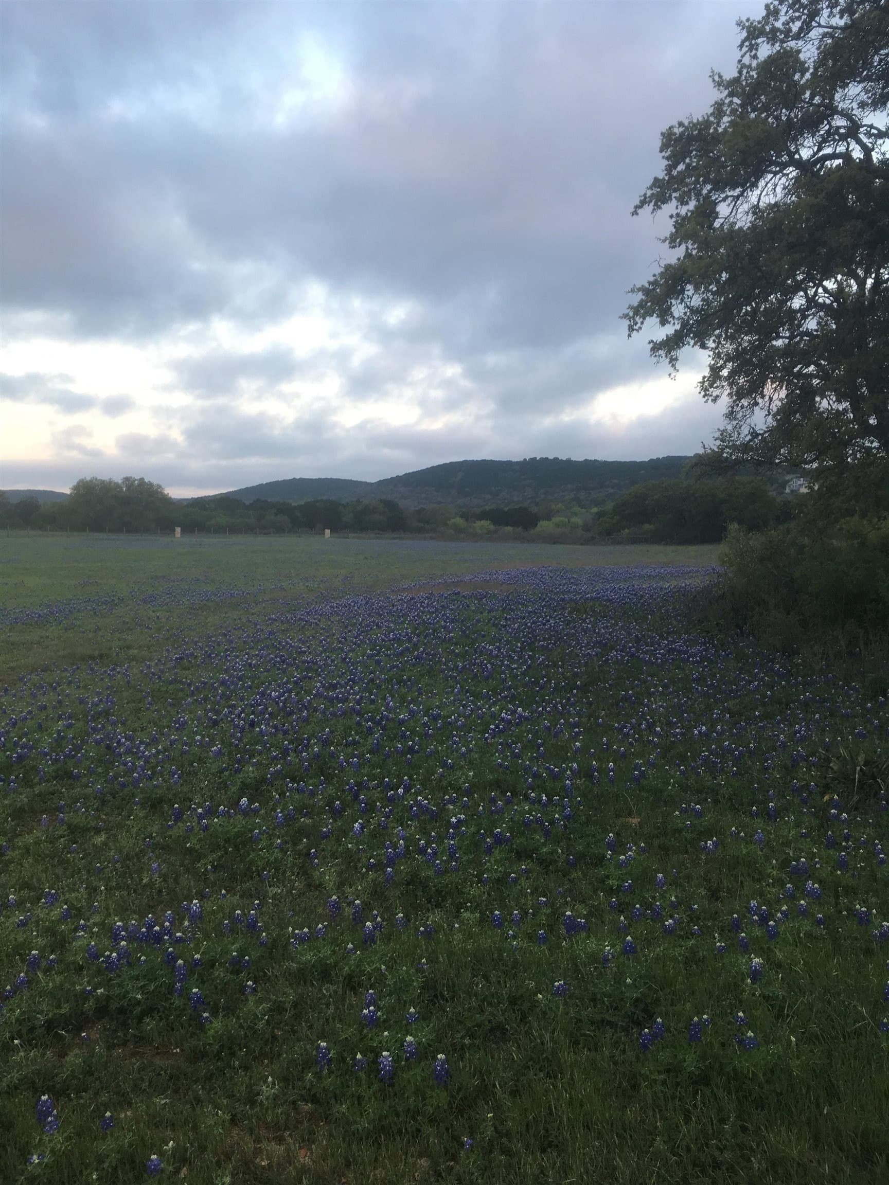 38.62 acres in Llano County - photo 11