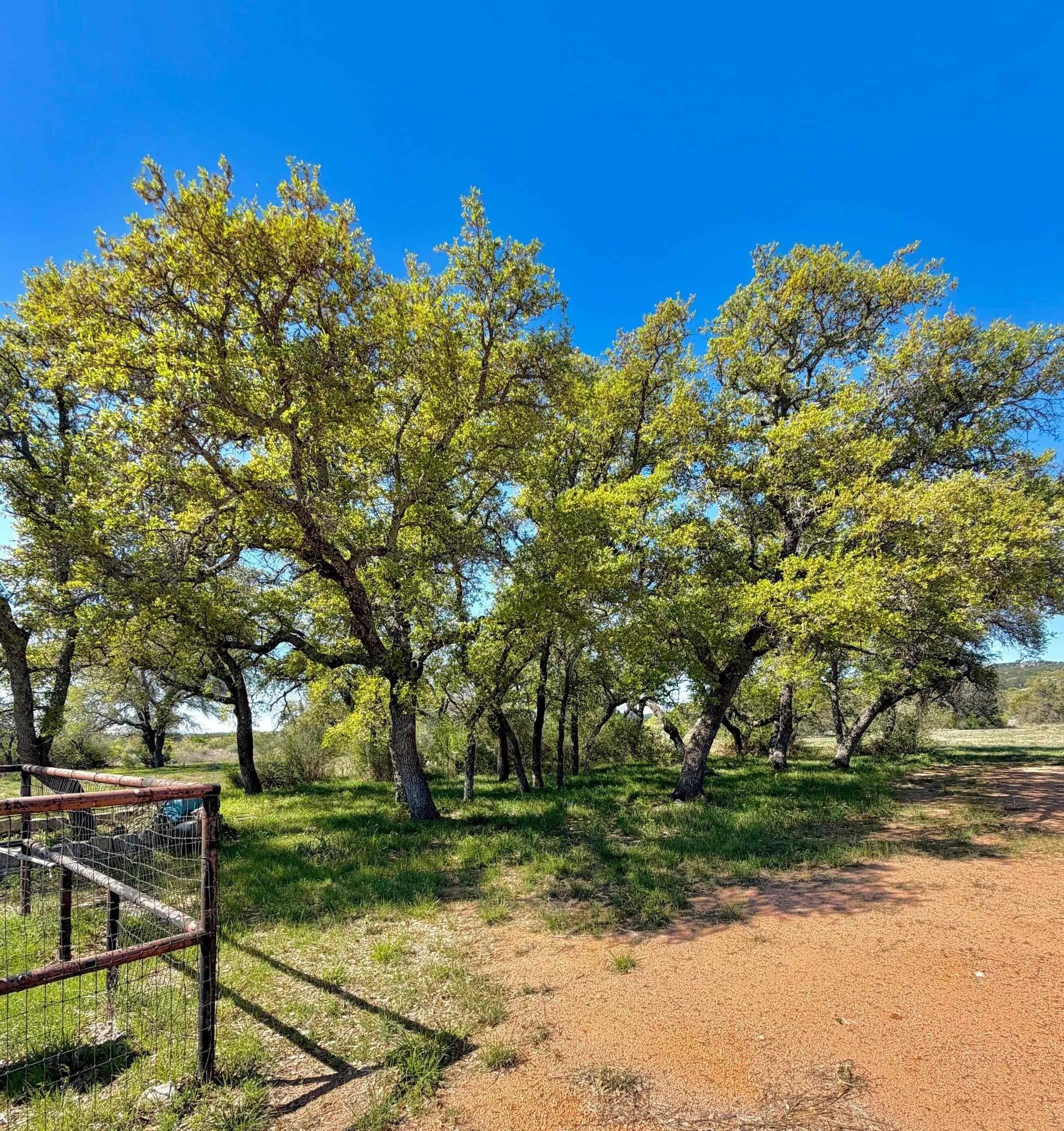 38.62 acres in Llano County - photo 15