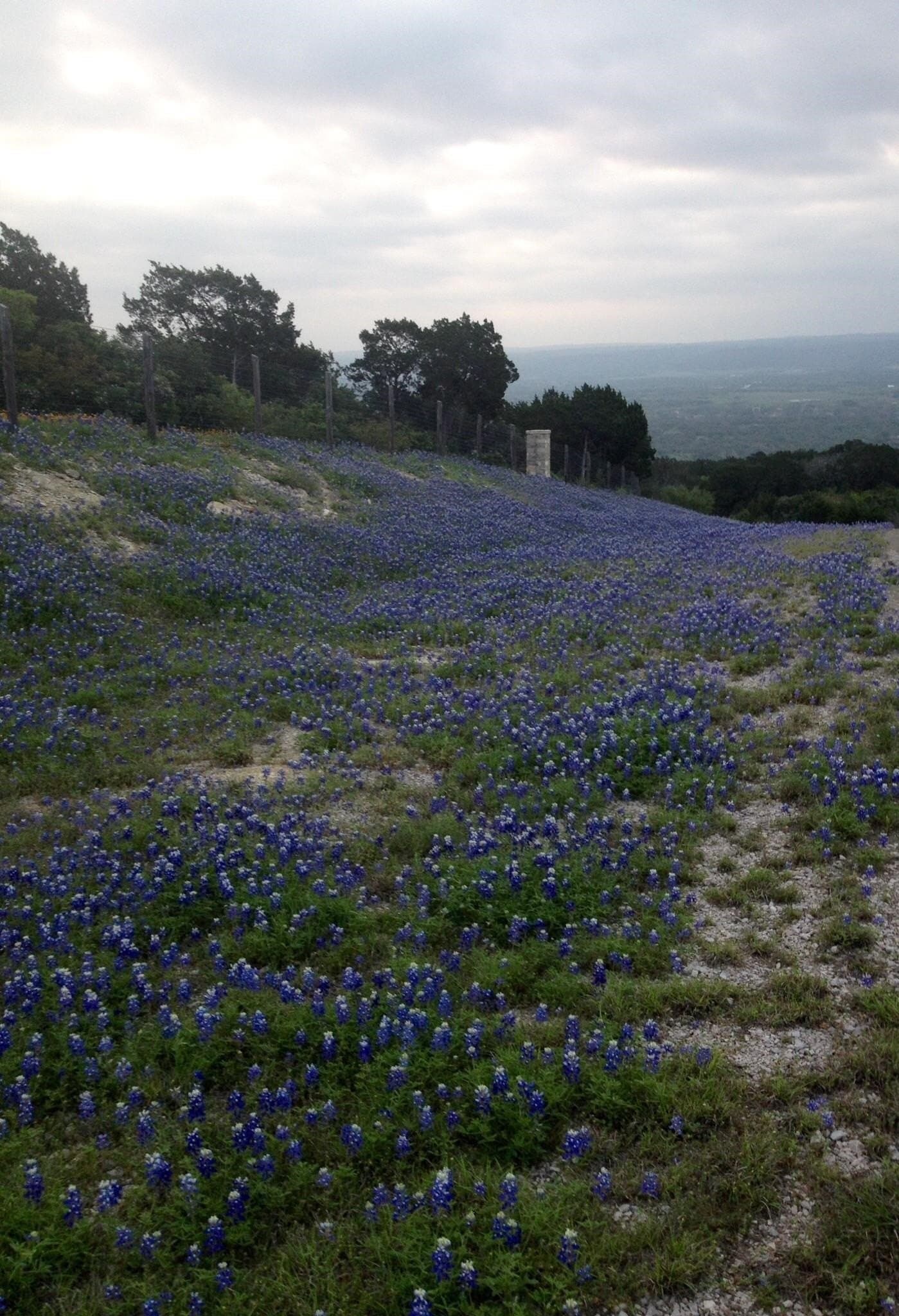 38.62 acres in Llano County - photo 7