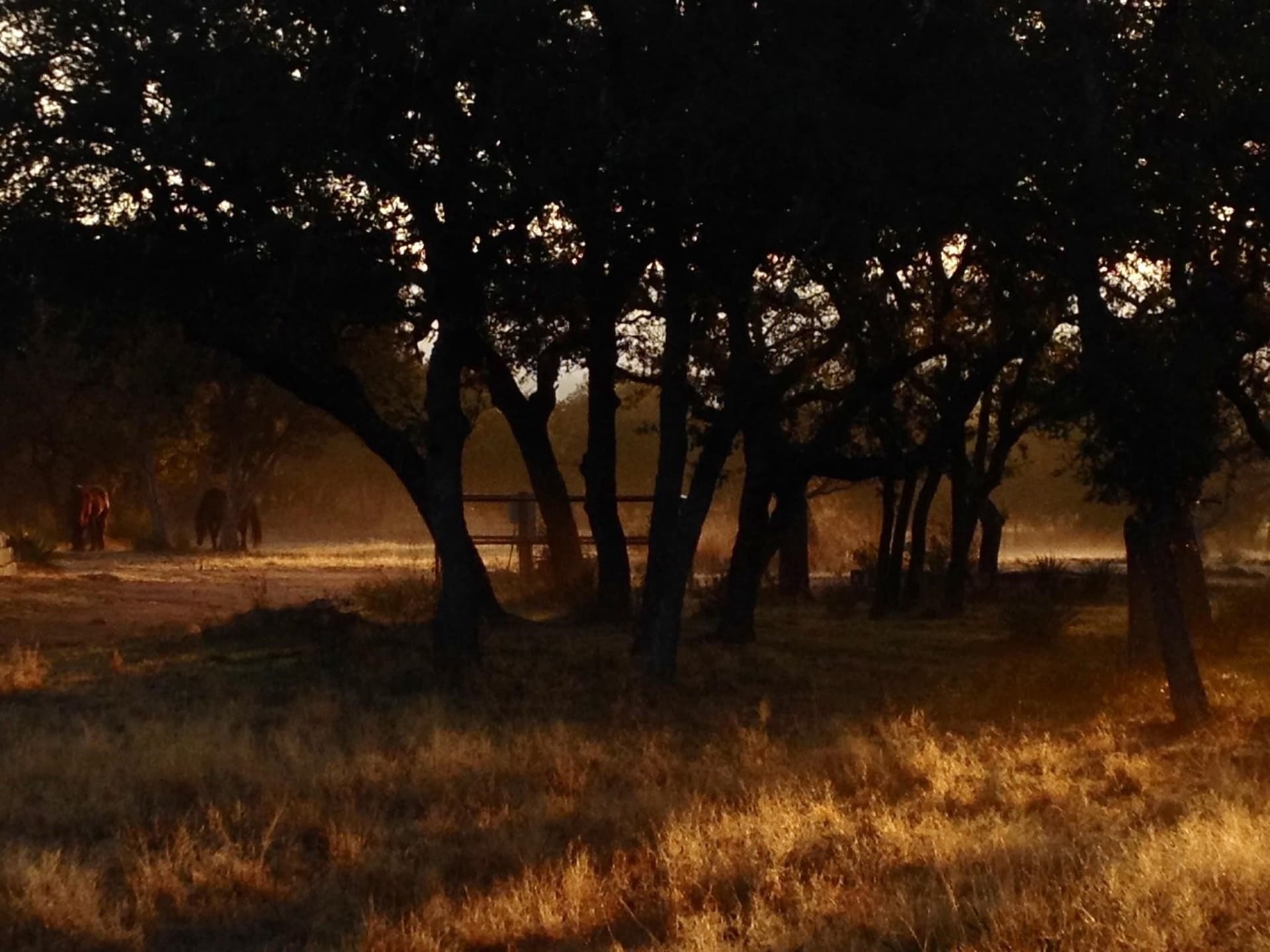 38.62 acres in Llano County - photo 6