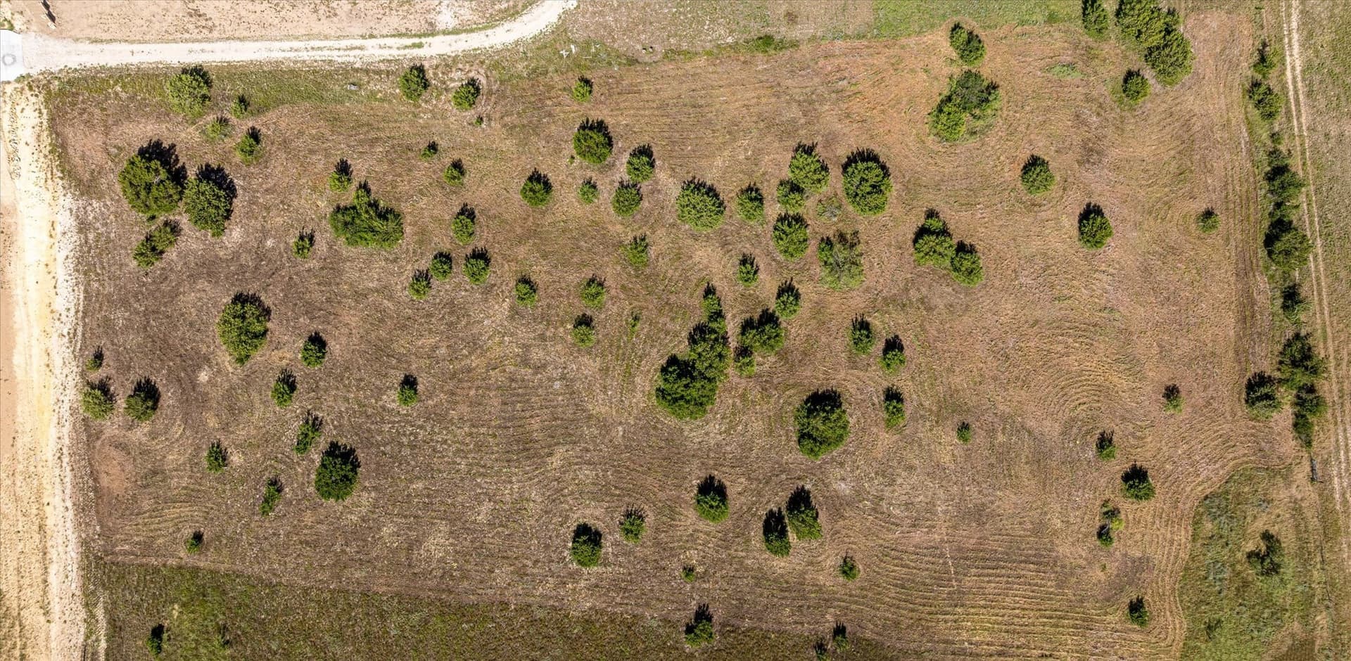 3 acres in Hood County - photo 12