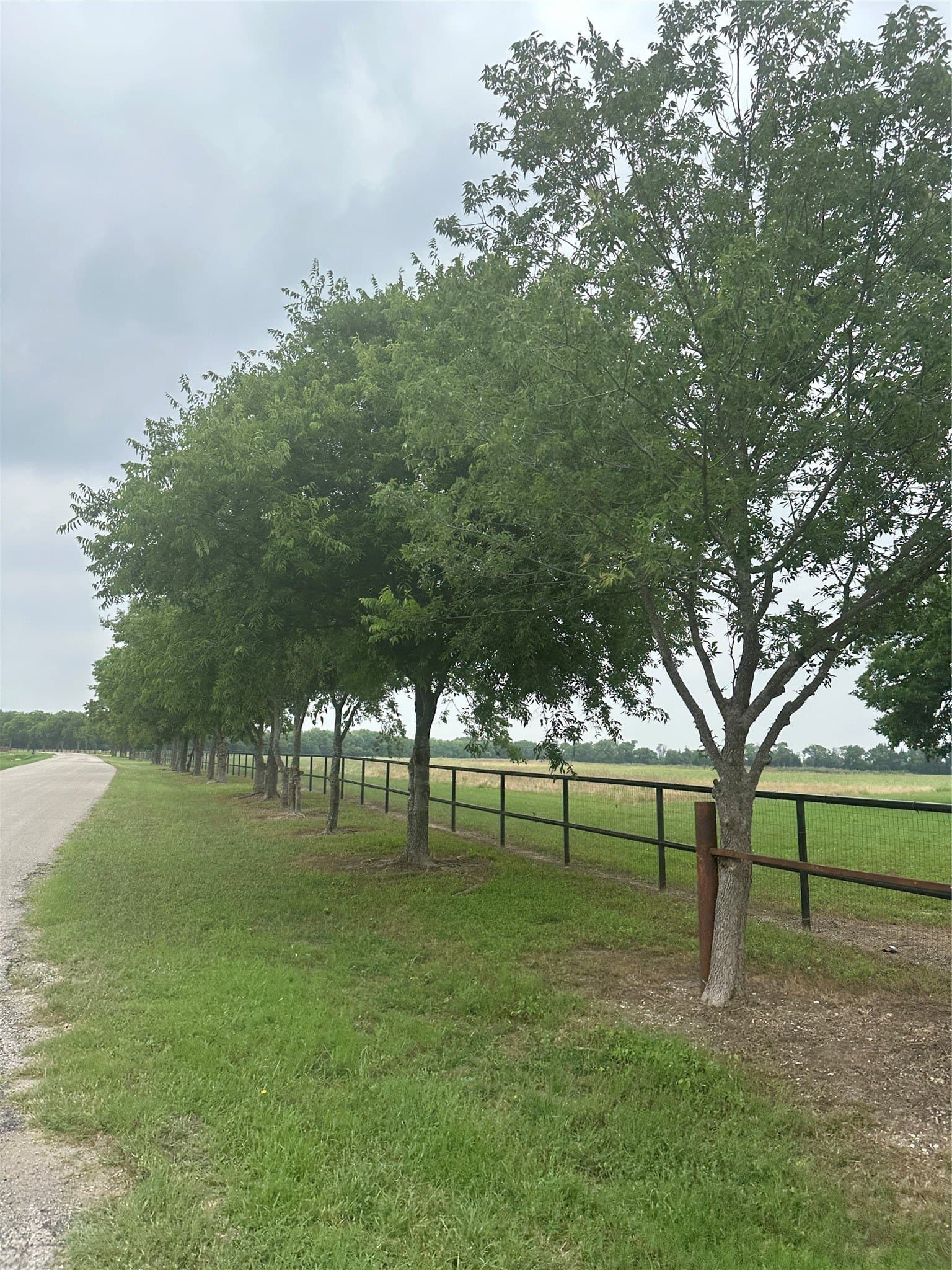 19.16 acres in Ellis County - photo 11