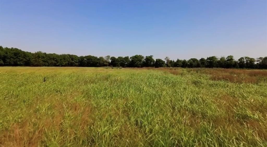 19.16 acres in Ellis County - photo 9