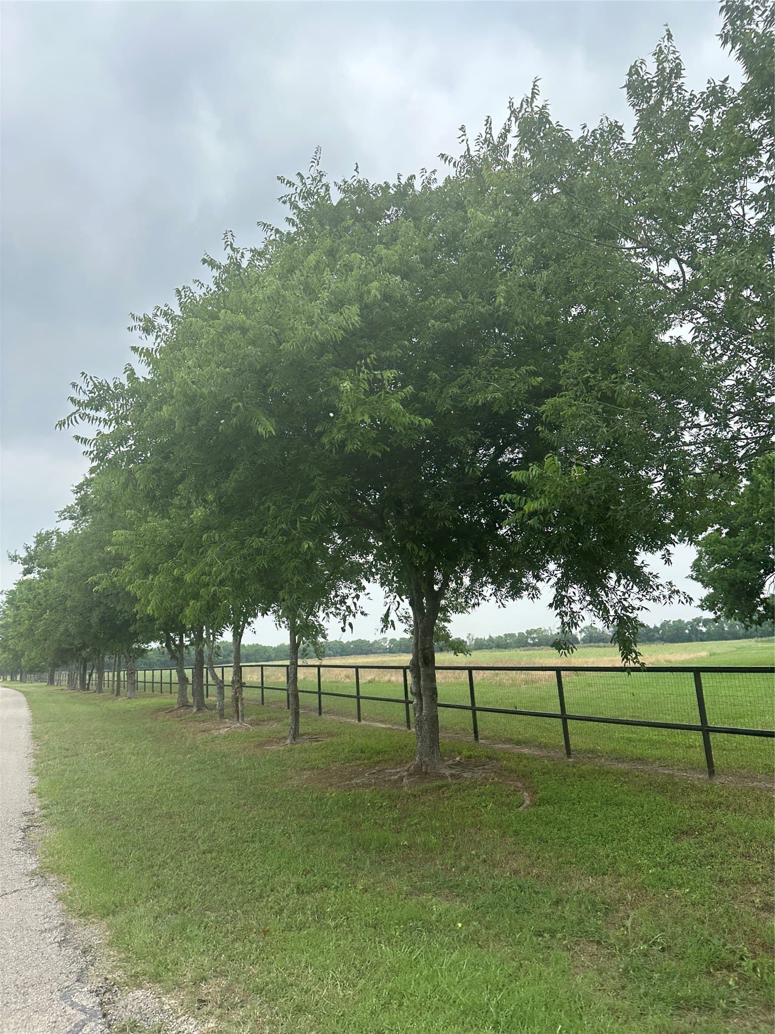 19.16 acres in Ellis County - photo 10