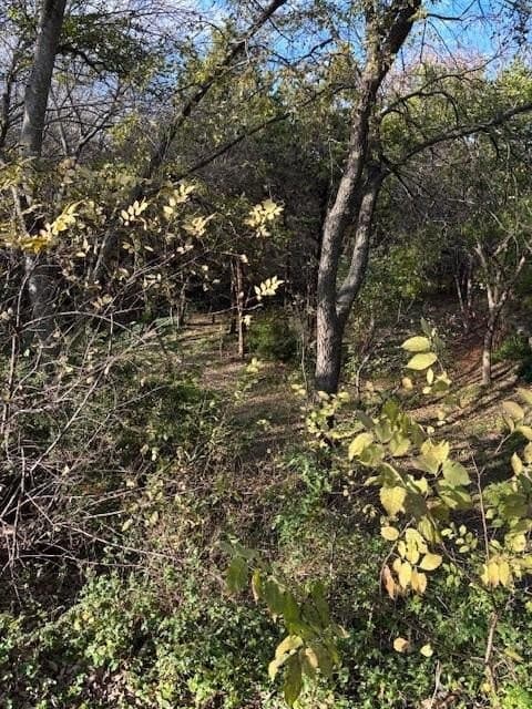 0.28 acres in Dallas County featured view