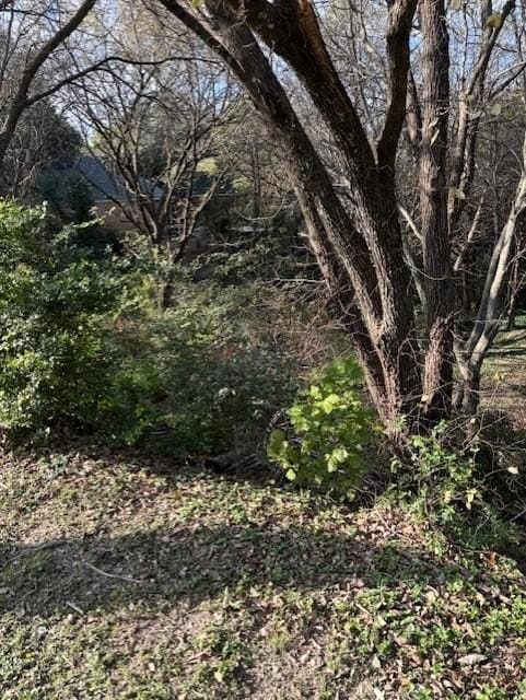 0.28 acres in Dallas County gallery image 3