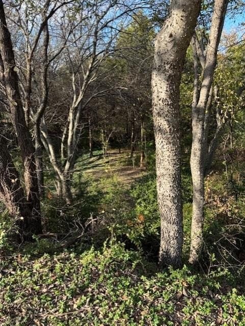 0.28 acres in Dallas County gallery image 4