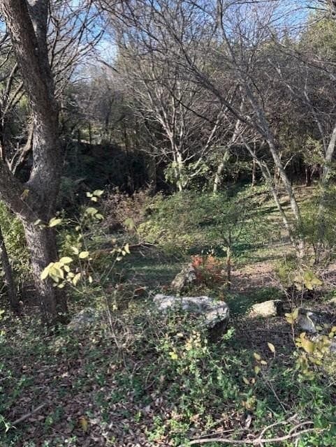 0.28 acres in Dallas County gallery image 2