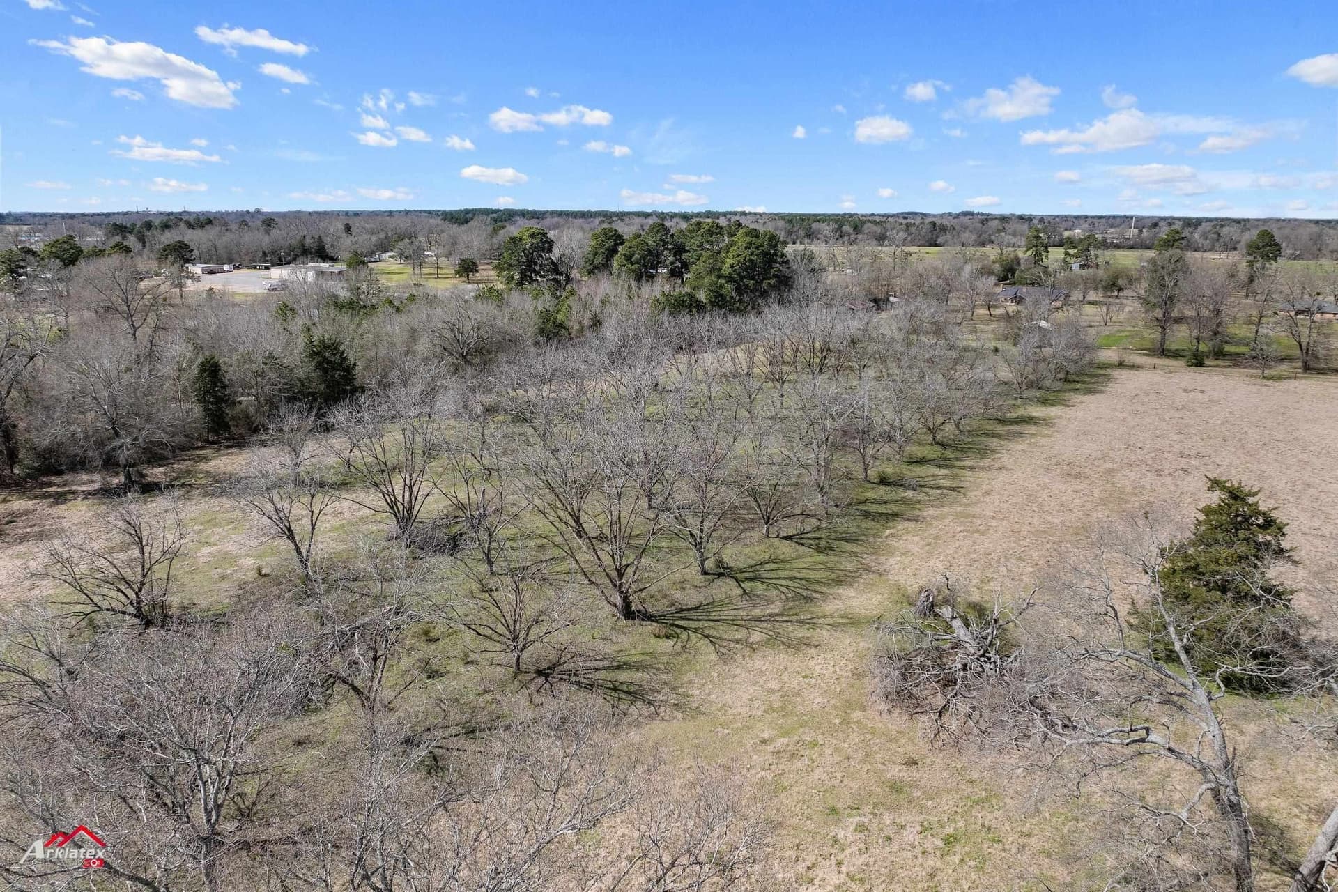 77.86 acres in Panola County featured view