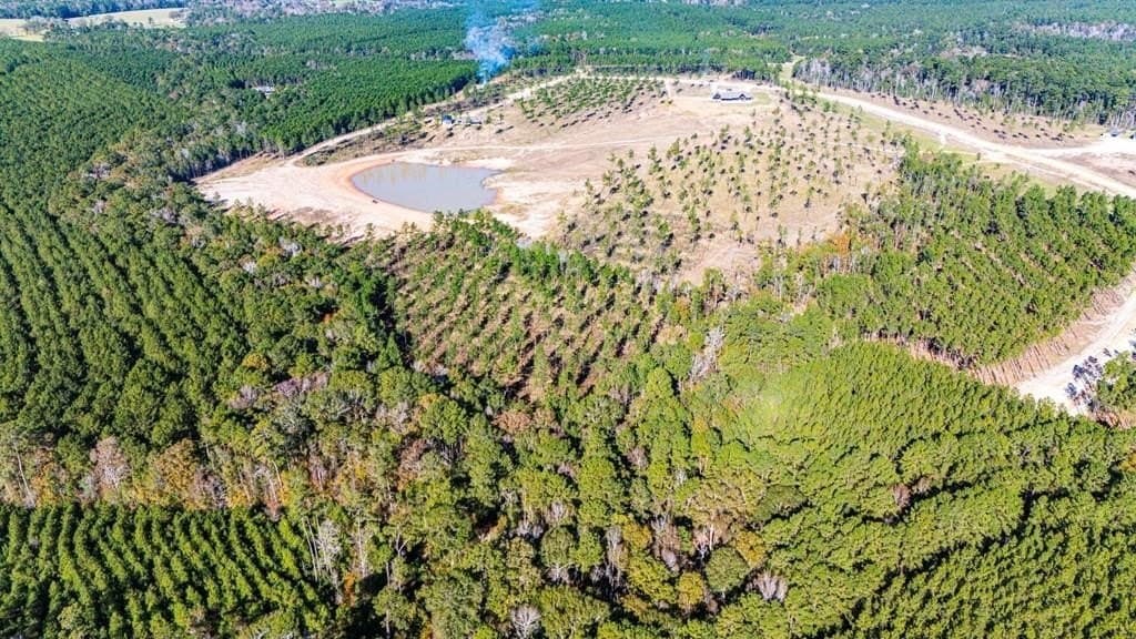 15.92 acres in Polk County - photo 10