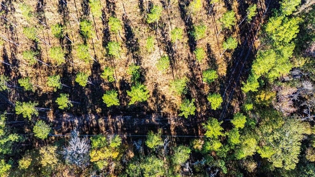 15.92 acres in Polk County - photo 7