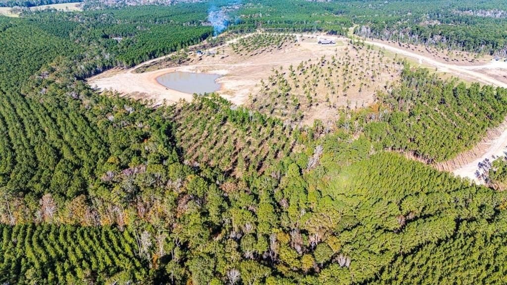 15.92 acres in Polk County - photo 9