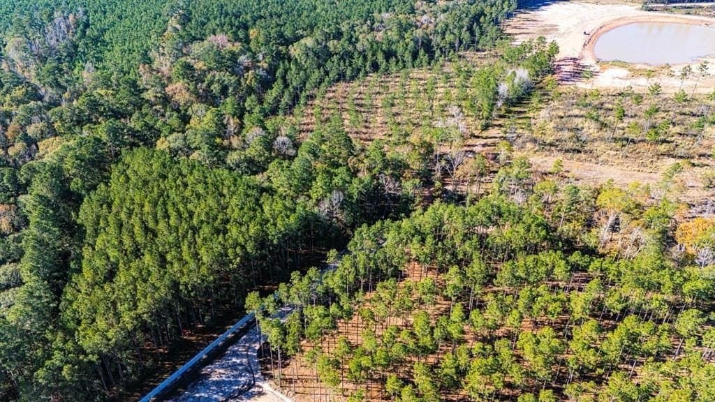 15.92 acres in Polk County - photo 6
