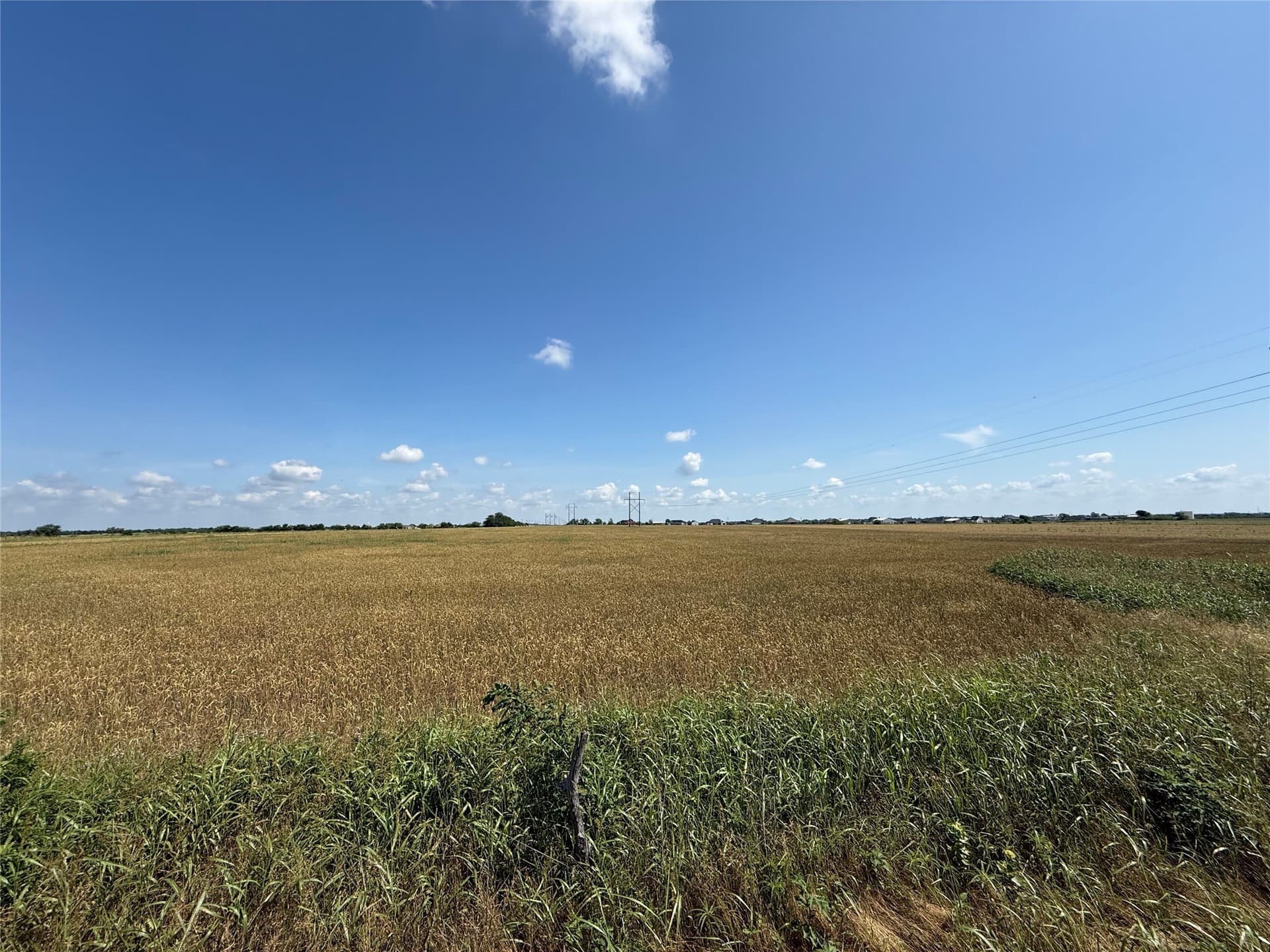 10.01 acres in Denton County gallery image 2