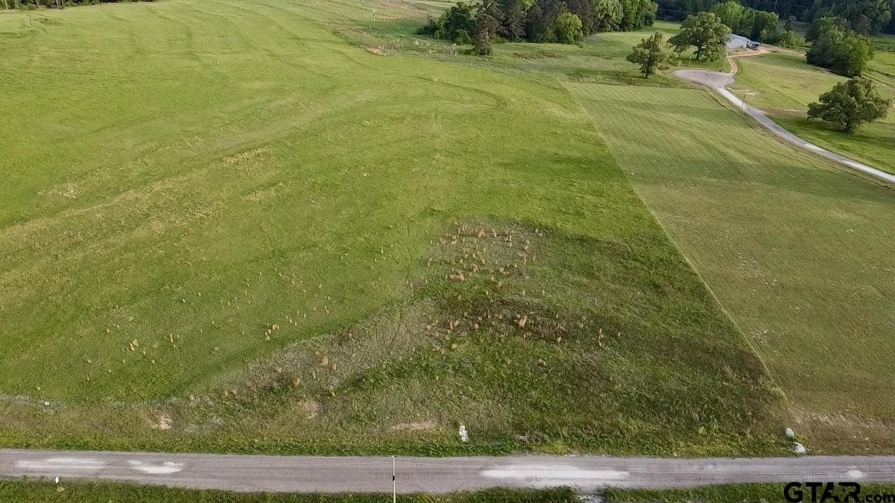 4.01 acres in Upshur County gallery image 2