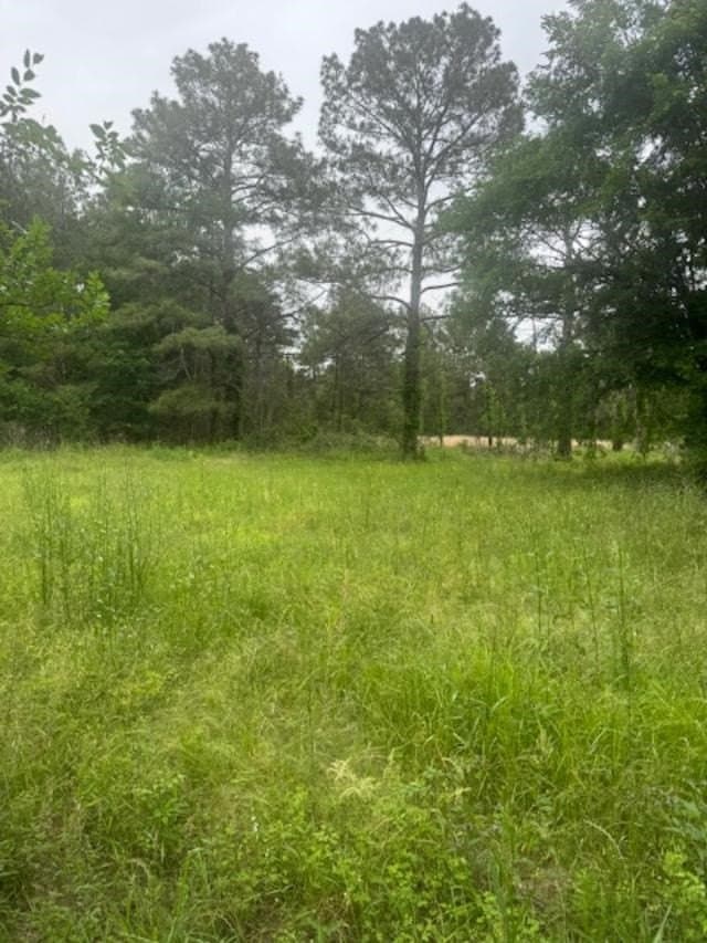 5.6 acres in TRINITY County - photo 3
