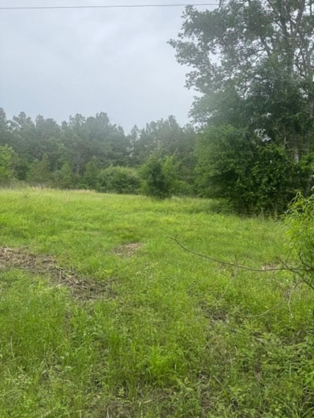 5.6 acres in TRINITY County - photo 2