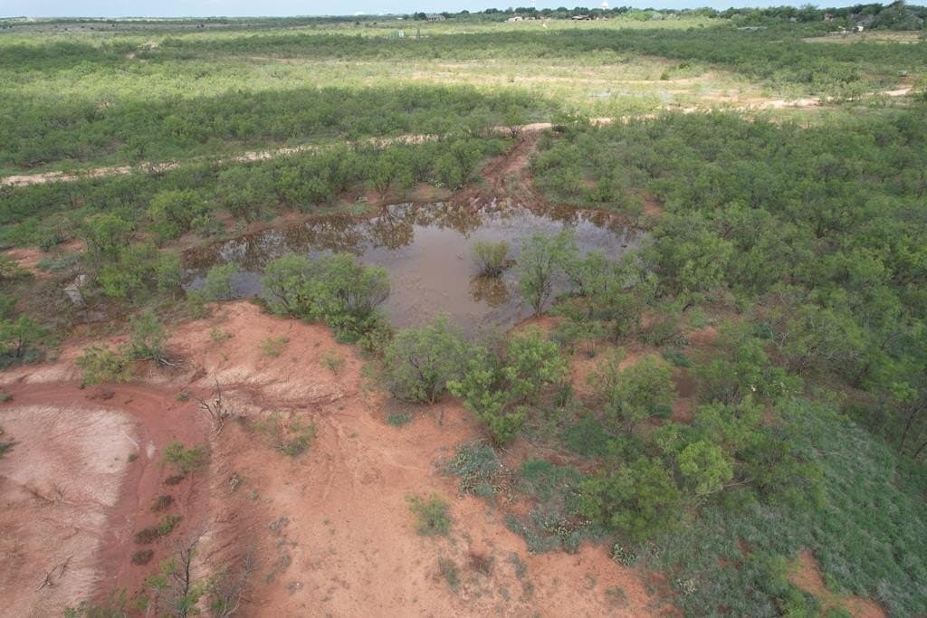 60 acres in Scurry County gallery image 3