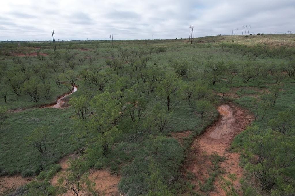 60 acres in Scurry County featured view