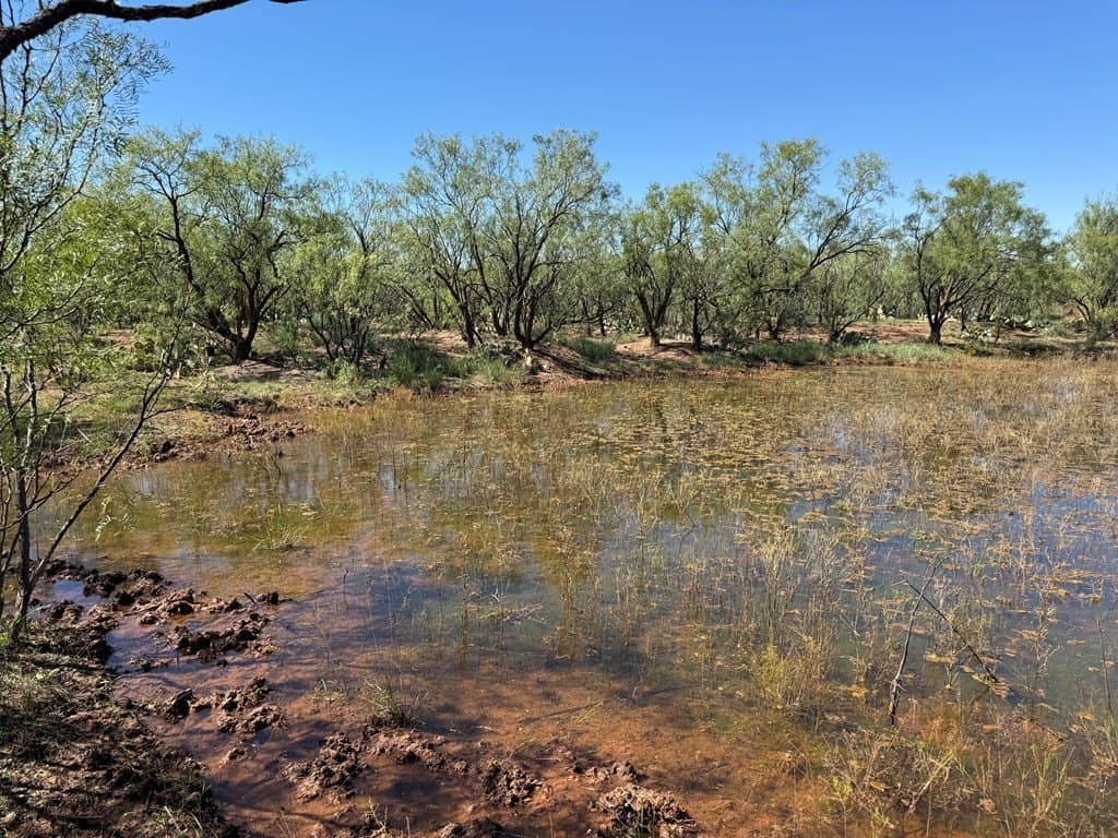 60 acres in Scurry County gallery image 2
