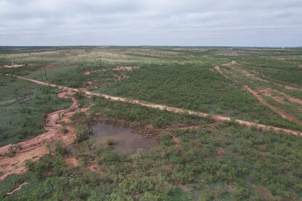 60 acres in Scurry County gallery image 4