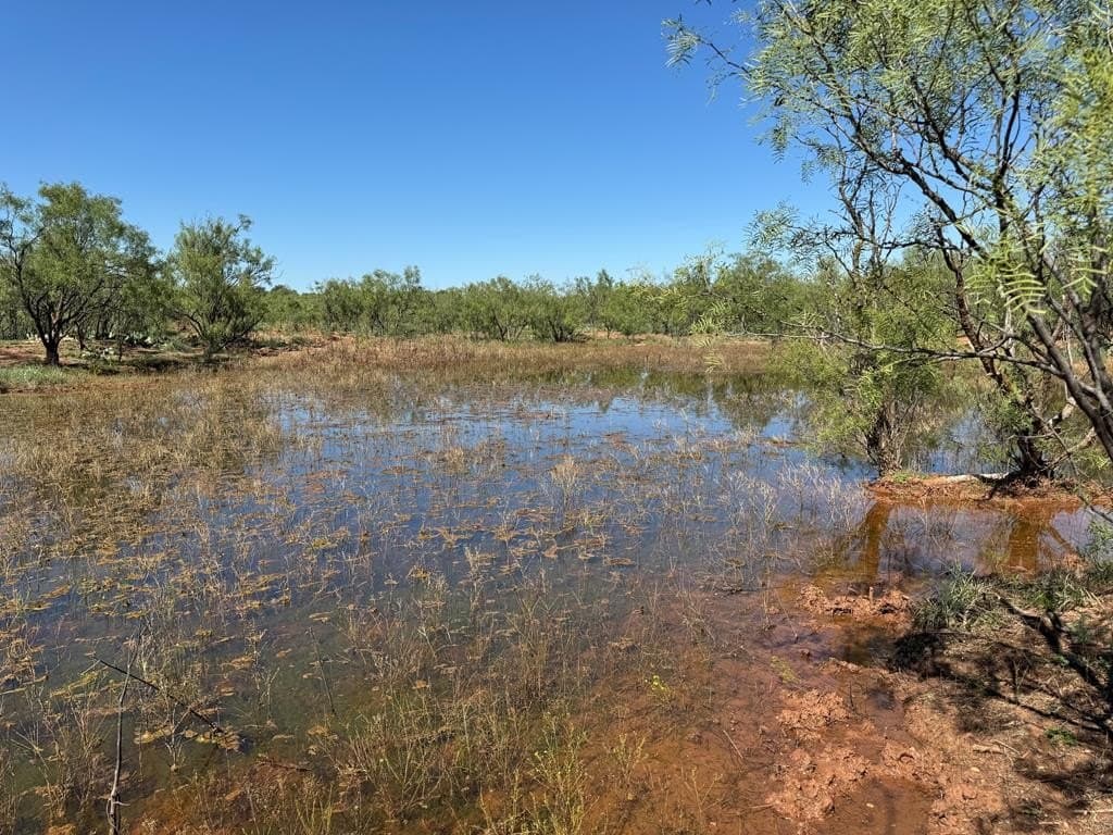 60 acres in Scurry County