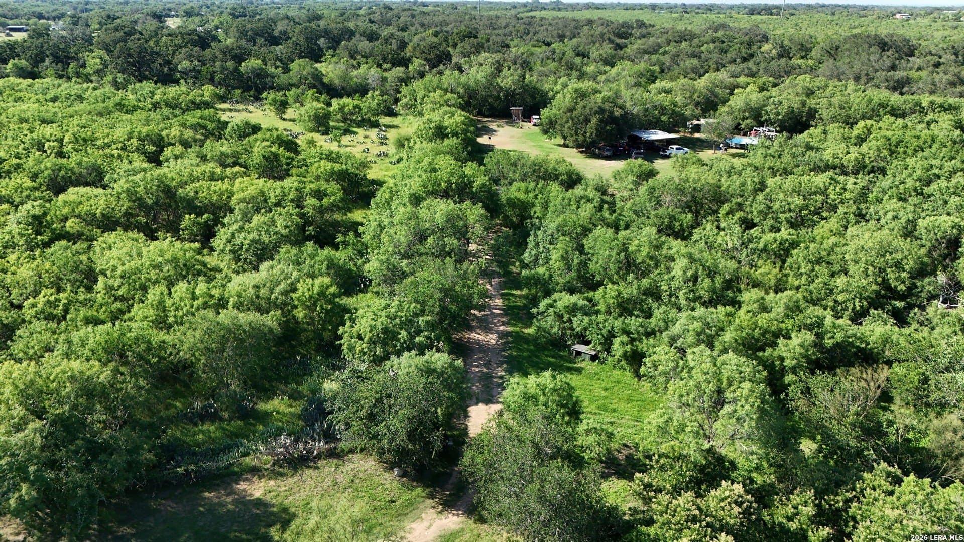 4 acres in Atascosa County gallery image 4