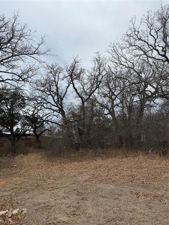 0.1 acres in Hood County gallery image 2