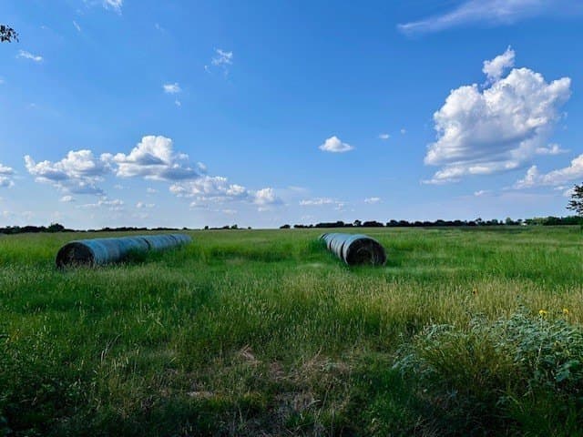11 acres in Fannin County gallery image 3