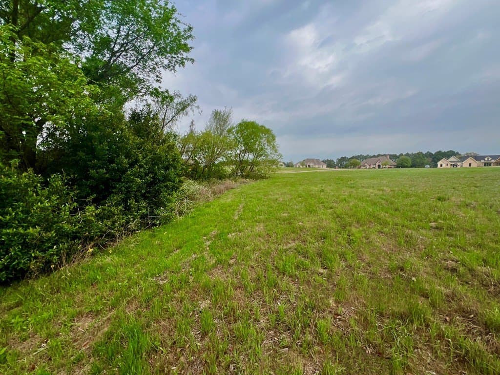 2.03 acres in Henderson County gallery image 4
