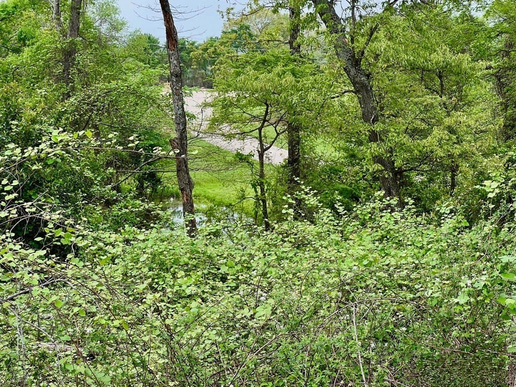 2.03 acres in Henderson County gallery image 2