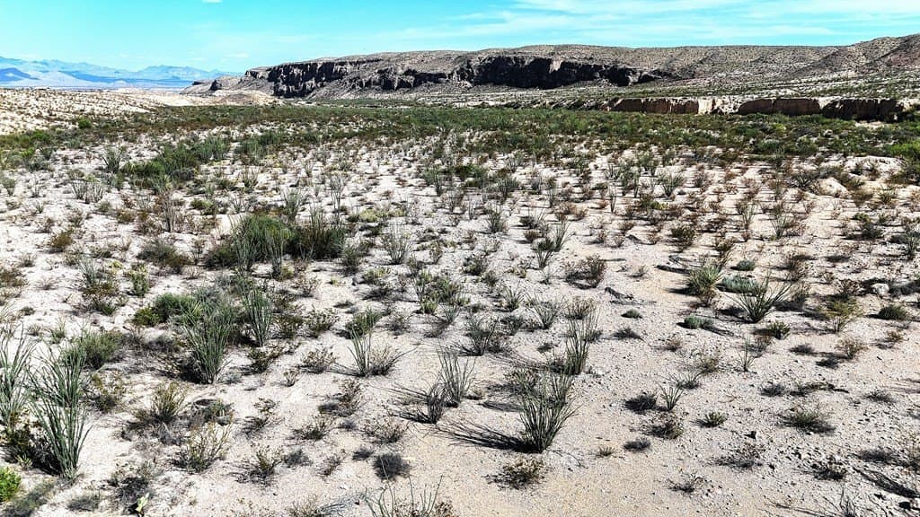 393 acres in Brewster County - photo 9