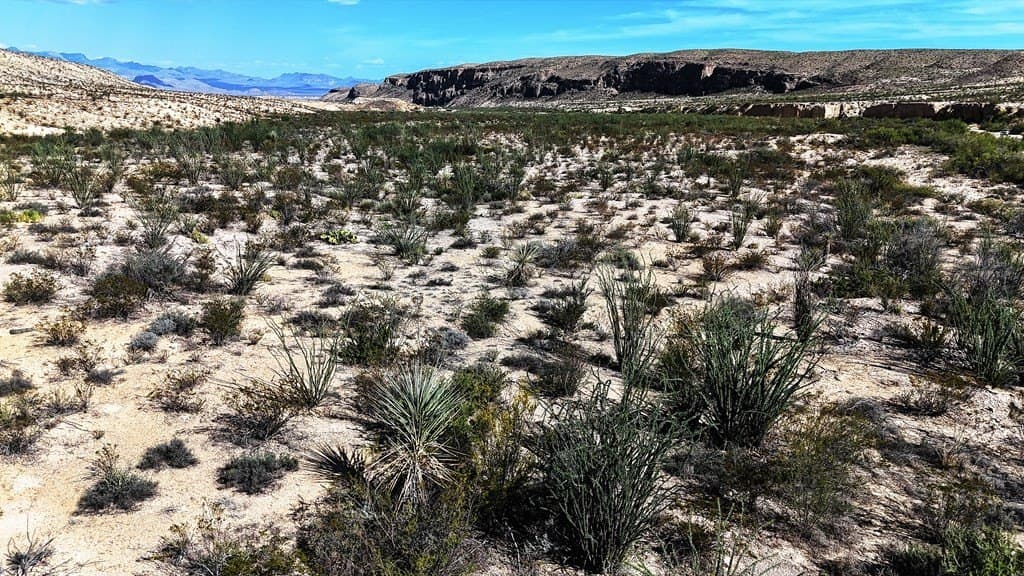 393 acres in Brewster County - photo 8