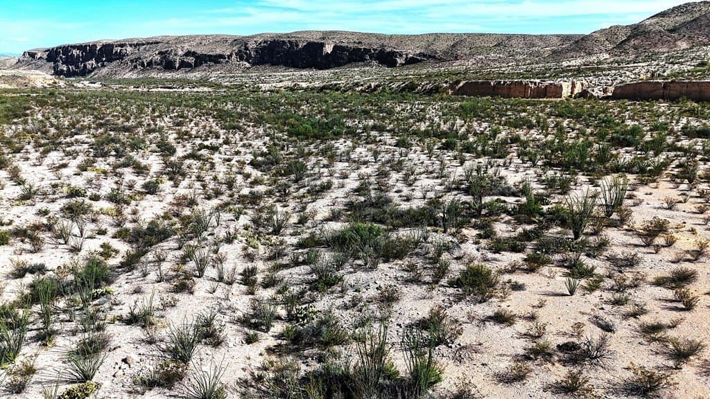 393 acres in Brewster County - photo 11