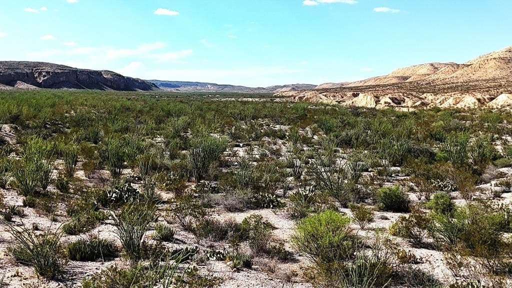 393 acres in Brewster County - photo 51