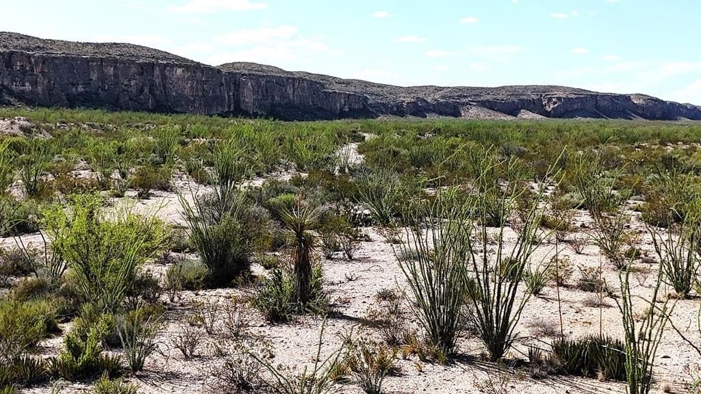 393 acres in Brewster County - photo 50