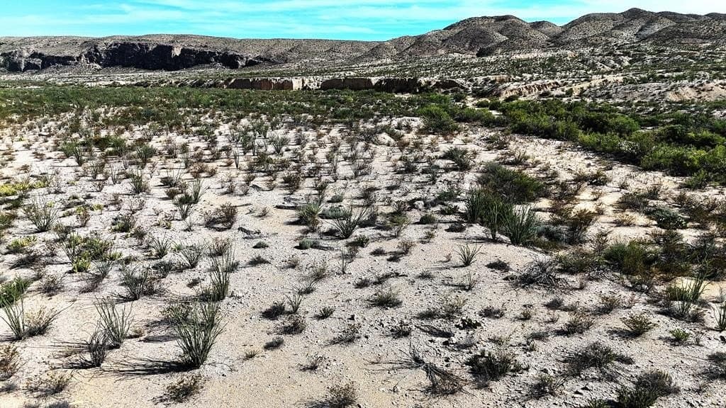 393 acres in Brewster County