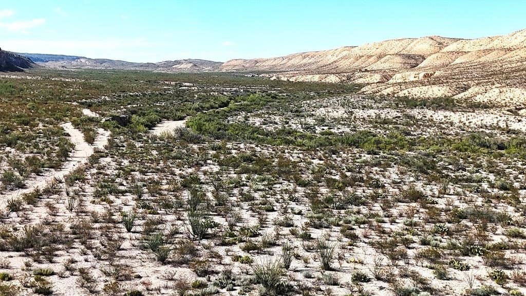 393 acres in Brewster County - photo 52