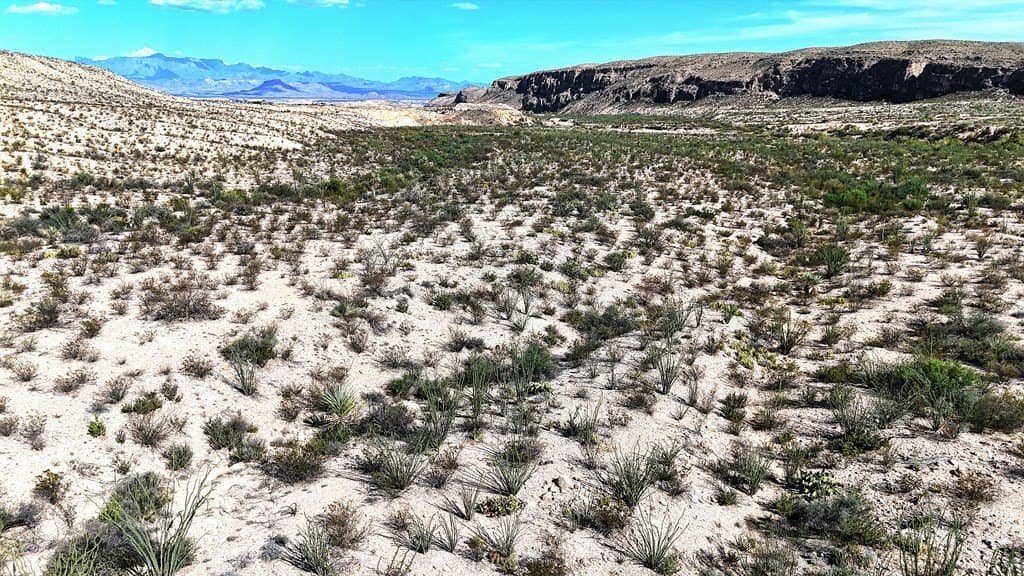 393 acres in Brewster County - photo 10