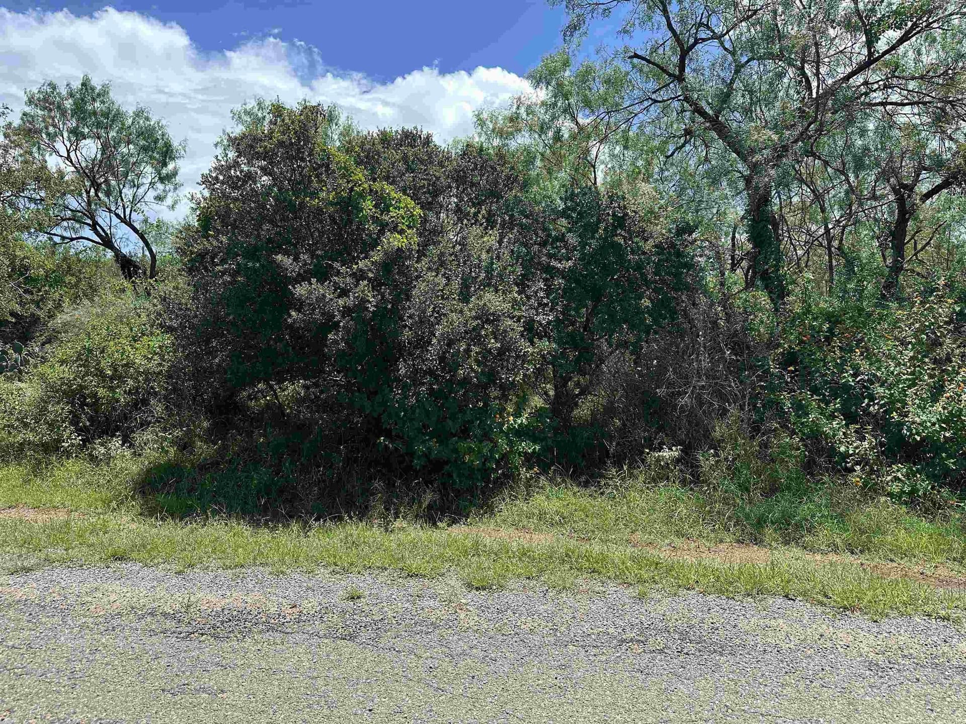 0.12 acres in Burnet County featured view