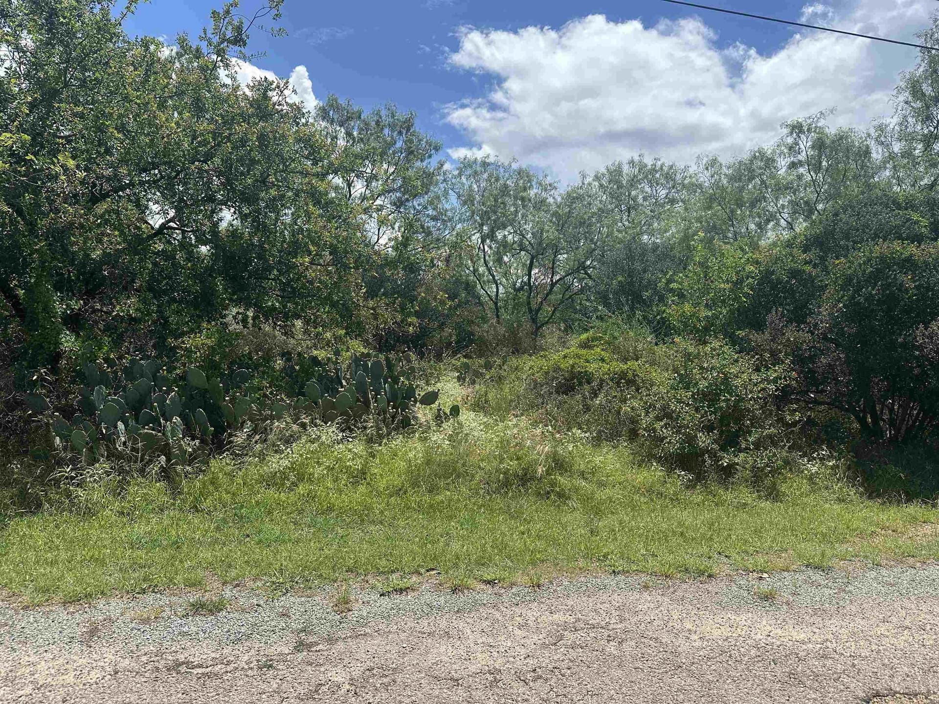 0.12 acres in Burnet County gallery image 2