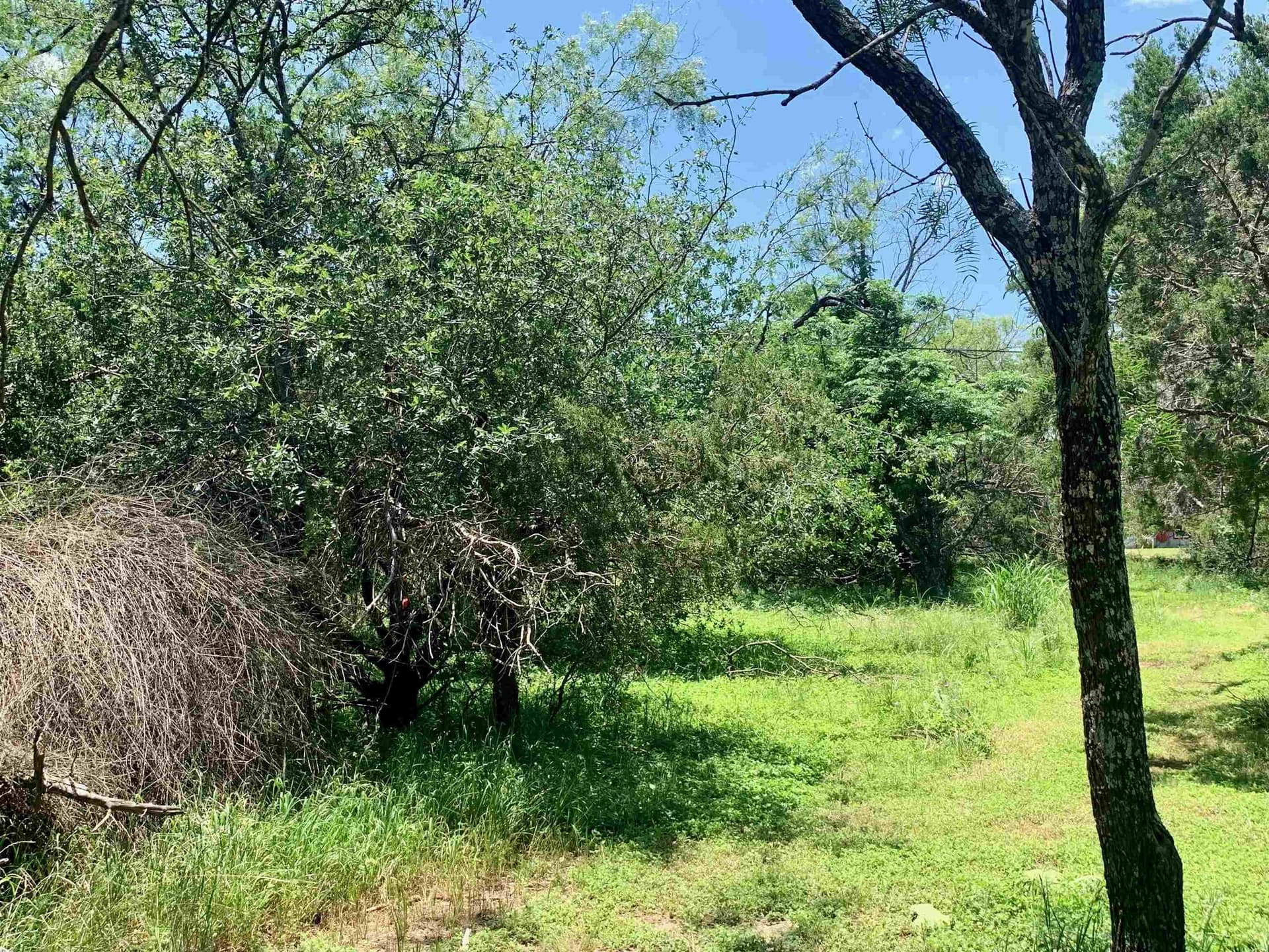 0.12 acres in Burnet County gallery image 4